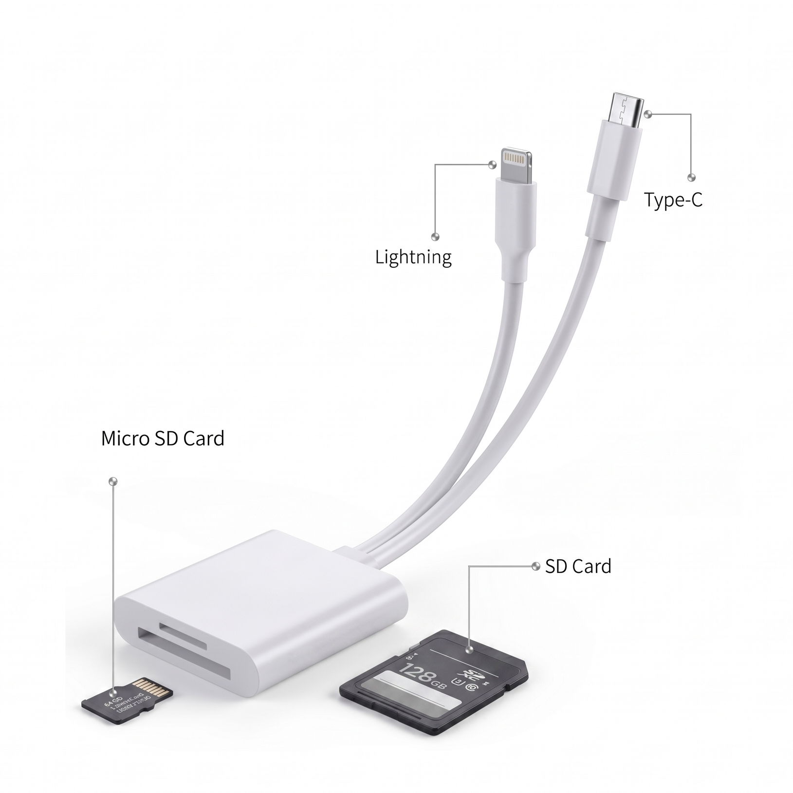 2-in-1 USB-C & SD Card Reader